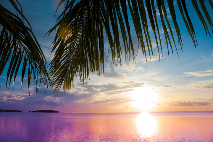 Sunset Horseback Riding Tour from Punta Cana